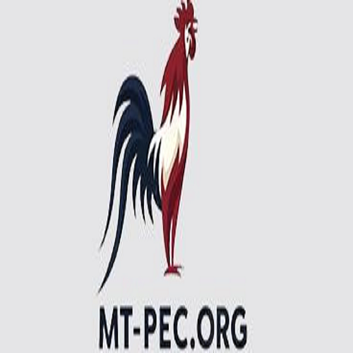 Avatar:  ĐÁ GÀ TRỰC TIẾP TRỰC TIẾP ĐÁ GÀ THOMO