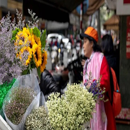 Avatar: Tiệm hoa tươi hà nội