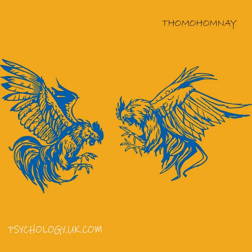 Avatar: thomohomnay TRỰC TIẾP ĐÁ GÀ THOMO