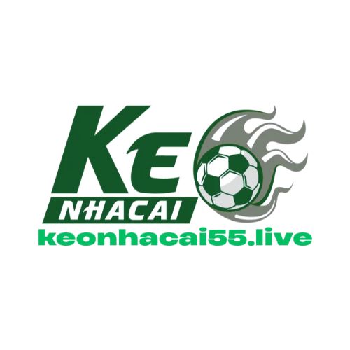 Avatar: Kèo Nhà Cái 55 Phân Tích Tỷ Lệ Chuẩn Xác Bắt Kèo Hiệu Quả Mỗi Ngày