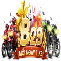 Avatar: b29