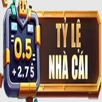 Avatar: Tỷ Lệ Nhà Cái