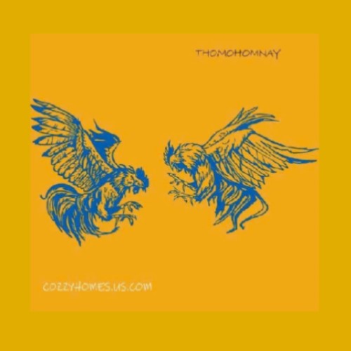 Avatar: thomohomnaycozzy