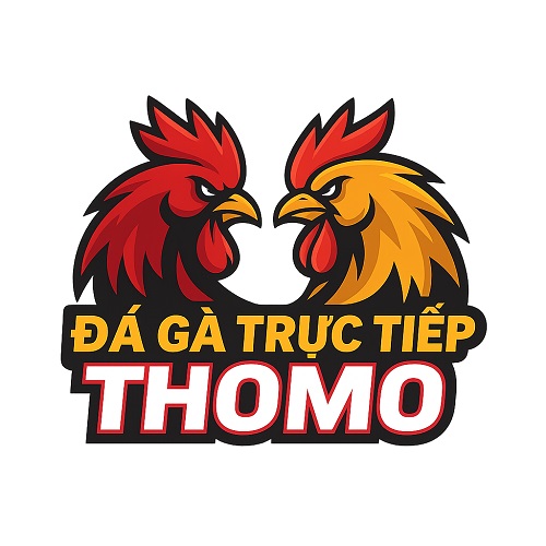 Avatar: Đá gà trực tiếp Thomo – Đỉnh cao đấu trường Campuchia