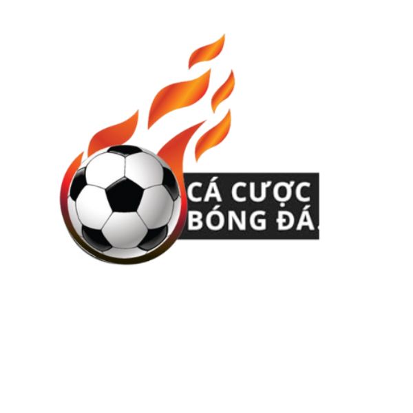 Avatar: salafoodtechcom