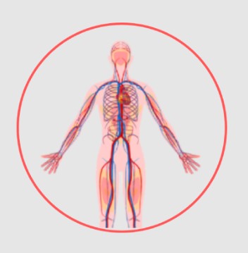 Avatar: Dr. Tapish Sahu