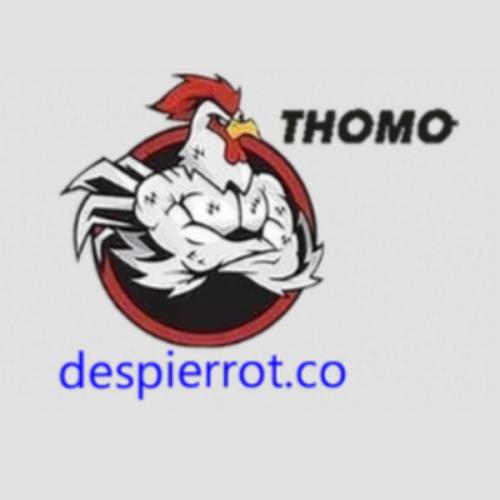 Avatar: ĐÁ GÀ THOMO TRỰC TIẾP