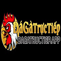 Avatar: Đá gà trực tiếp Nền tảng xem đá gà uy tín hàng đầu 2025