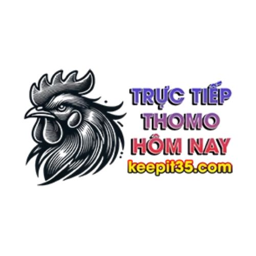 Avatar: THOMOHOMNAY - ĐÁ GÀ THOMO TRỰC TIẾP HÔM NAY