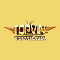 Avatar: TOPVIN