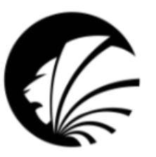 Avatar: pierre de bali