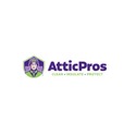 Avatar: Attic Pros