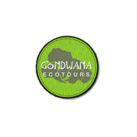 Avatar: Rwanda gorilla tours