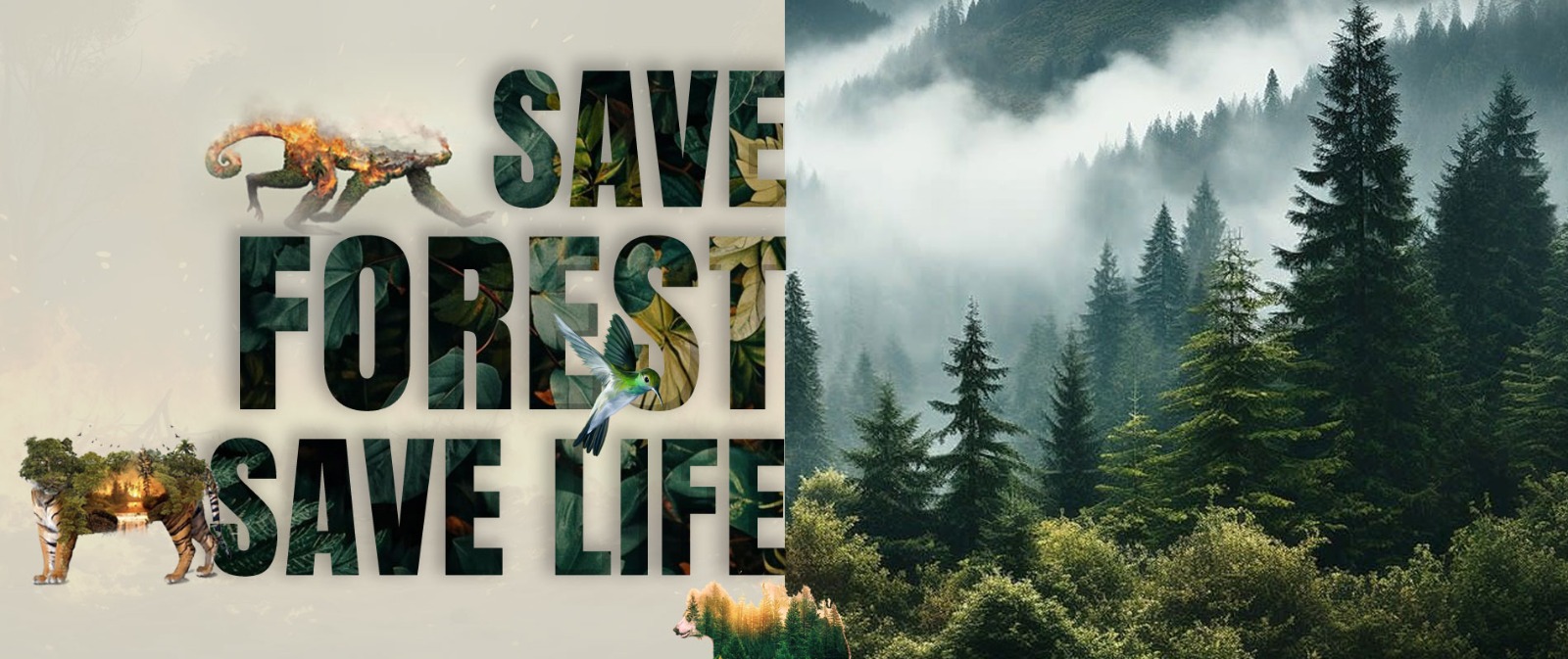 Avatar: Needleleaf Foundation