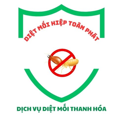 Avatar: Dịch Vụ Diệt Mối Thanh Hoá, Uy Tín, Chuyên Nghiệp, Giá Tốt