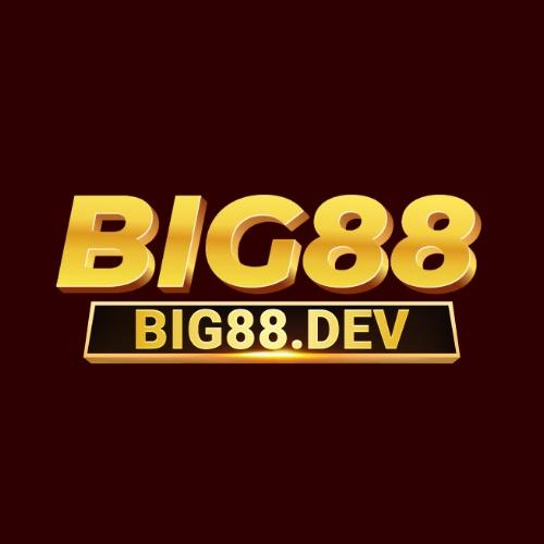 Avatar: Big88