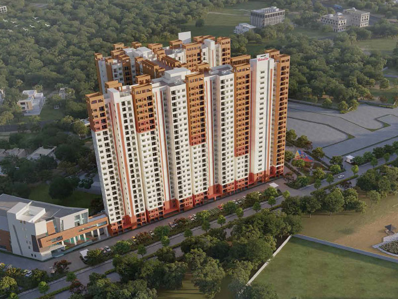 Avatar: Brigade Valencia