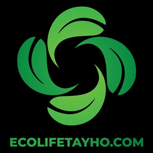 Avatar: Eco Life Tây Hồ