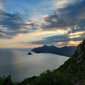 Avatar: Jennifer Baccanello