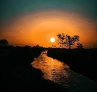 Avatar: Nhà cái Bet88