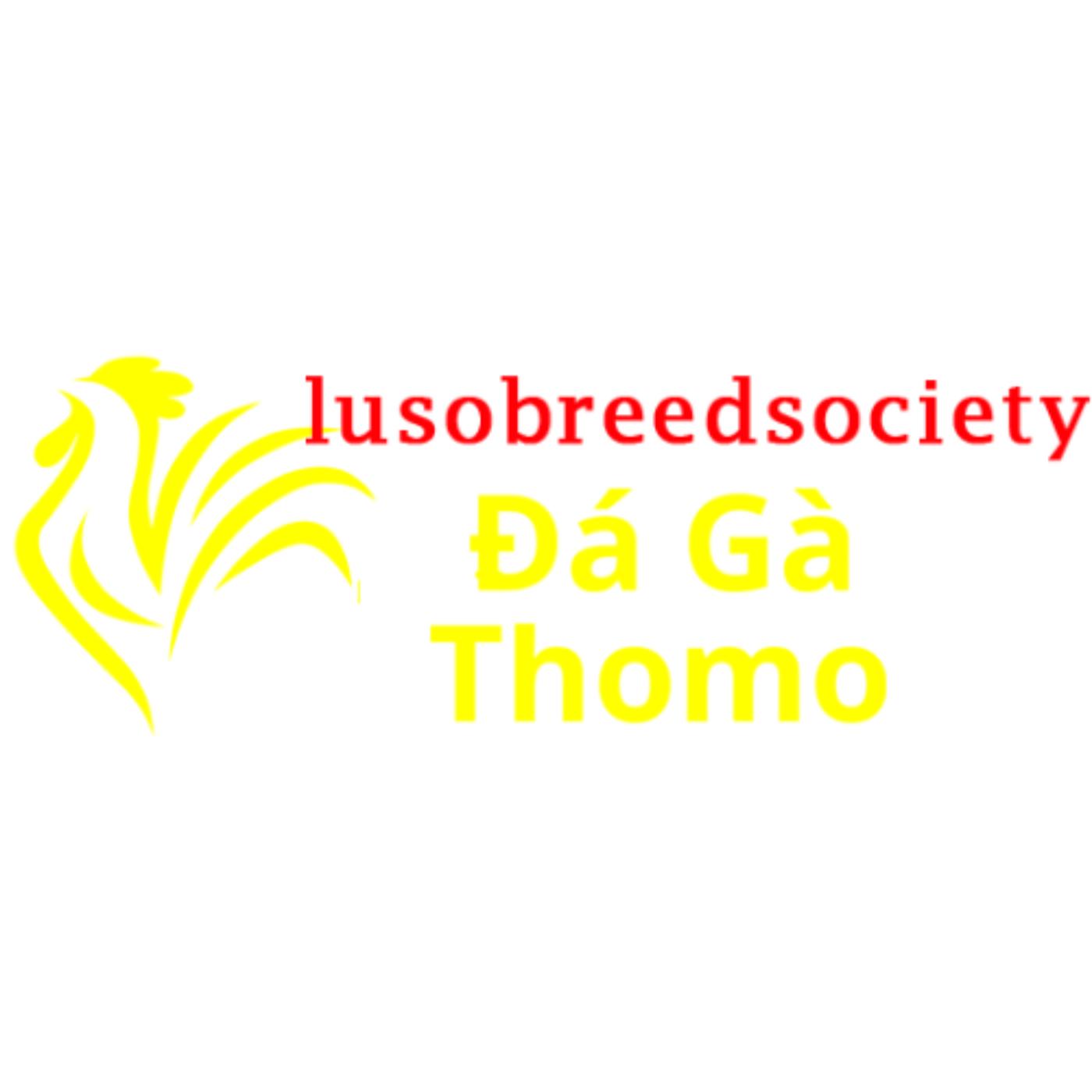 Avatar: Đá Gà Trực Tiếp Thomo