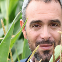 Avatar: David Saroni