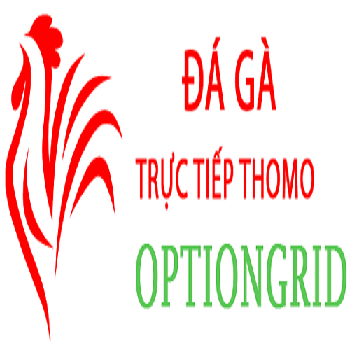 Avatar: Đá Gà Trực Tiếp Thomo