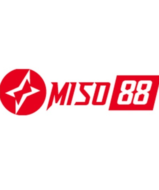 avatar miso88blue