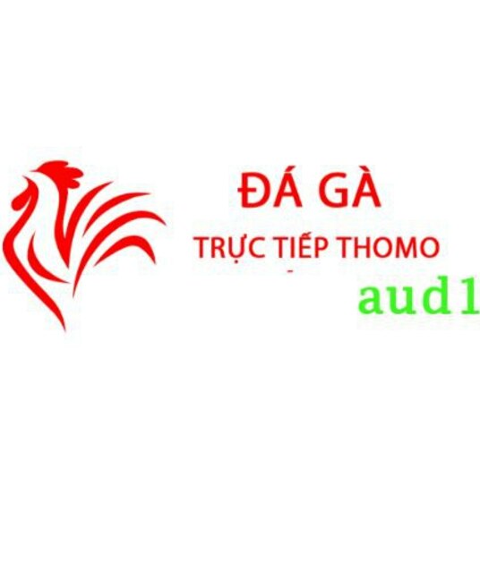 avatar Đá Gà Trực Tiếp Thomo Hôm Nay