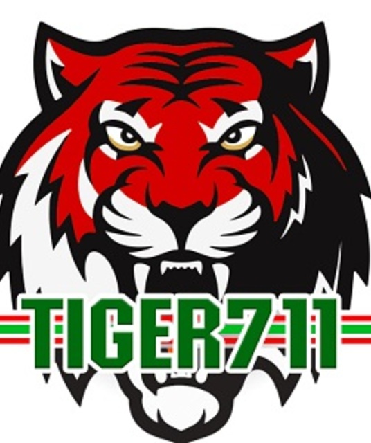 avatar tiger711 kim