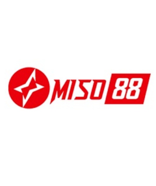 avatar MISO88